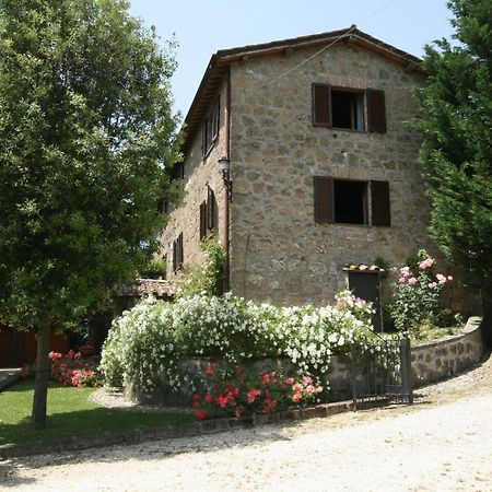 La Locanda Della Chiocciola Orte Bagian luar foto