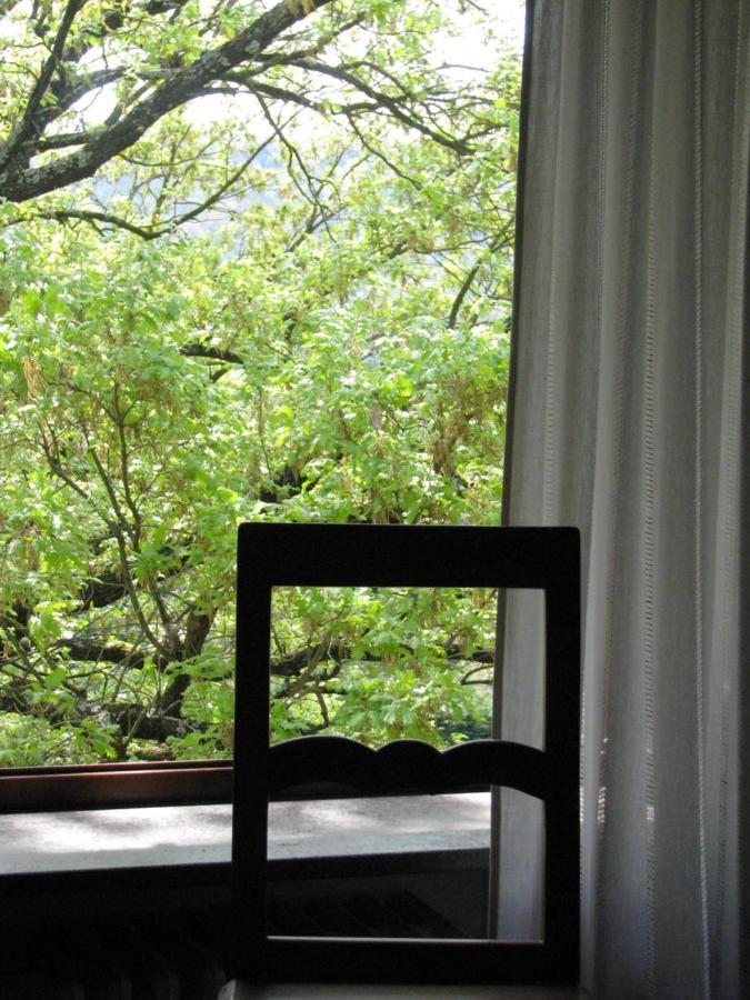 La Locanda Della Chiocciola Orte Bagian luar foto