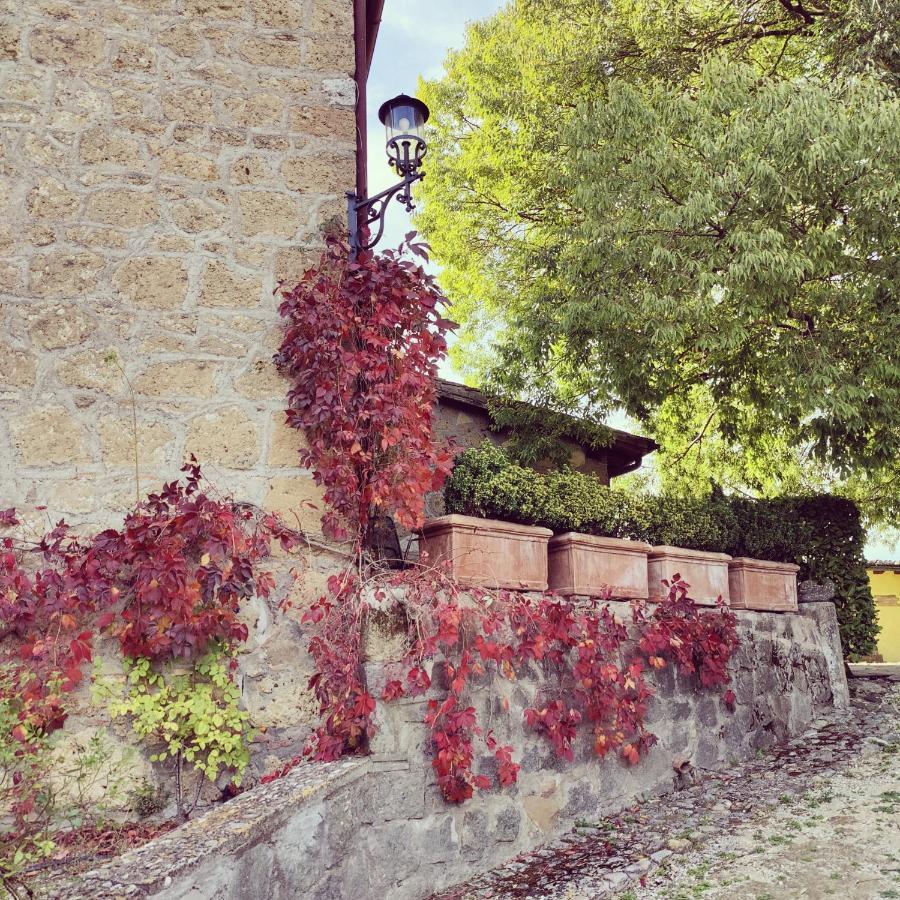 La Locanda Della Chiocciola Orte Bagian luar foto