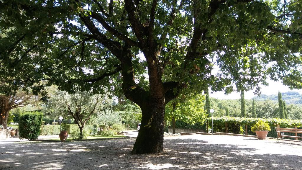 La Locanda Della Chiocciola Orte Bagian luar foto